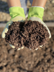 Image of Compost in two gloved hands.